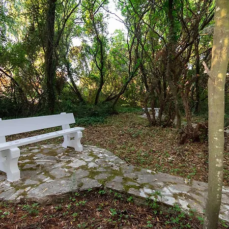 Ibiscus Corfu فندق