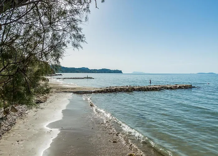 Ibiscus Corfu Ρόδα